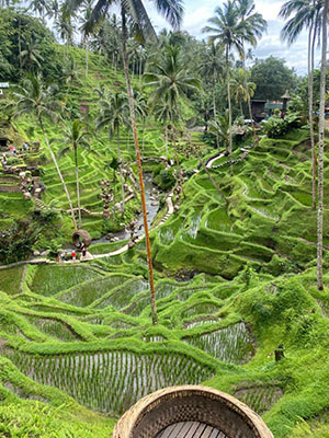 Ubud